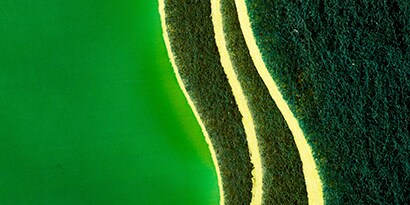 3M scrub sponges
