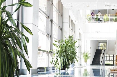 long shot of a building