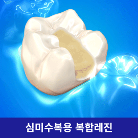 Filtek One Bulk Fill 레진 