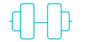 weight icon
