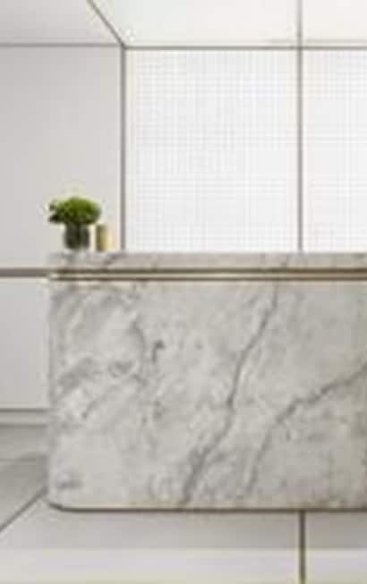 marble counter with a plant on top
