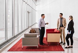 corporate employees enjoying sunlight with no glare as a result of 3M window films being installed on a building.