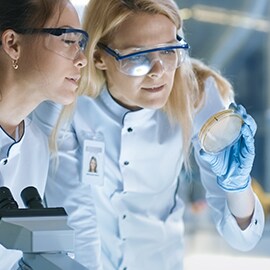 Two female scientists looking at a cell culture dish
