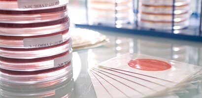 3M Petrifilm Count Plates

