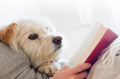 person reading a book with a dog