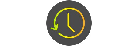 efficiency icon

