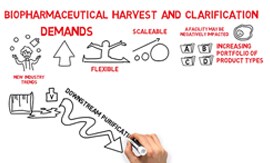 Challenges in biopharmaceutical harvest and clarification are  drawn on a whiteboard