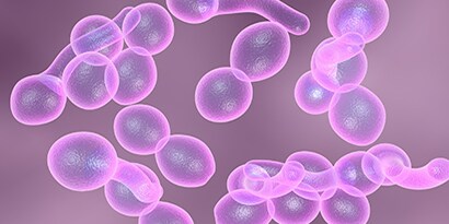 Bioburden Filtration for Research and Development

