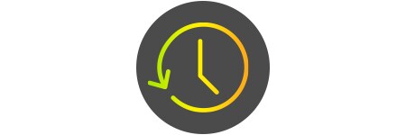 efficiency icon
